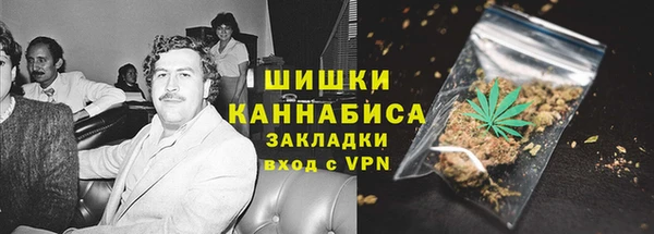 ГАЛЛЮЦИНОГЕННЫЕ ГРИБЫ Липки